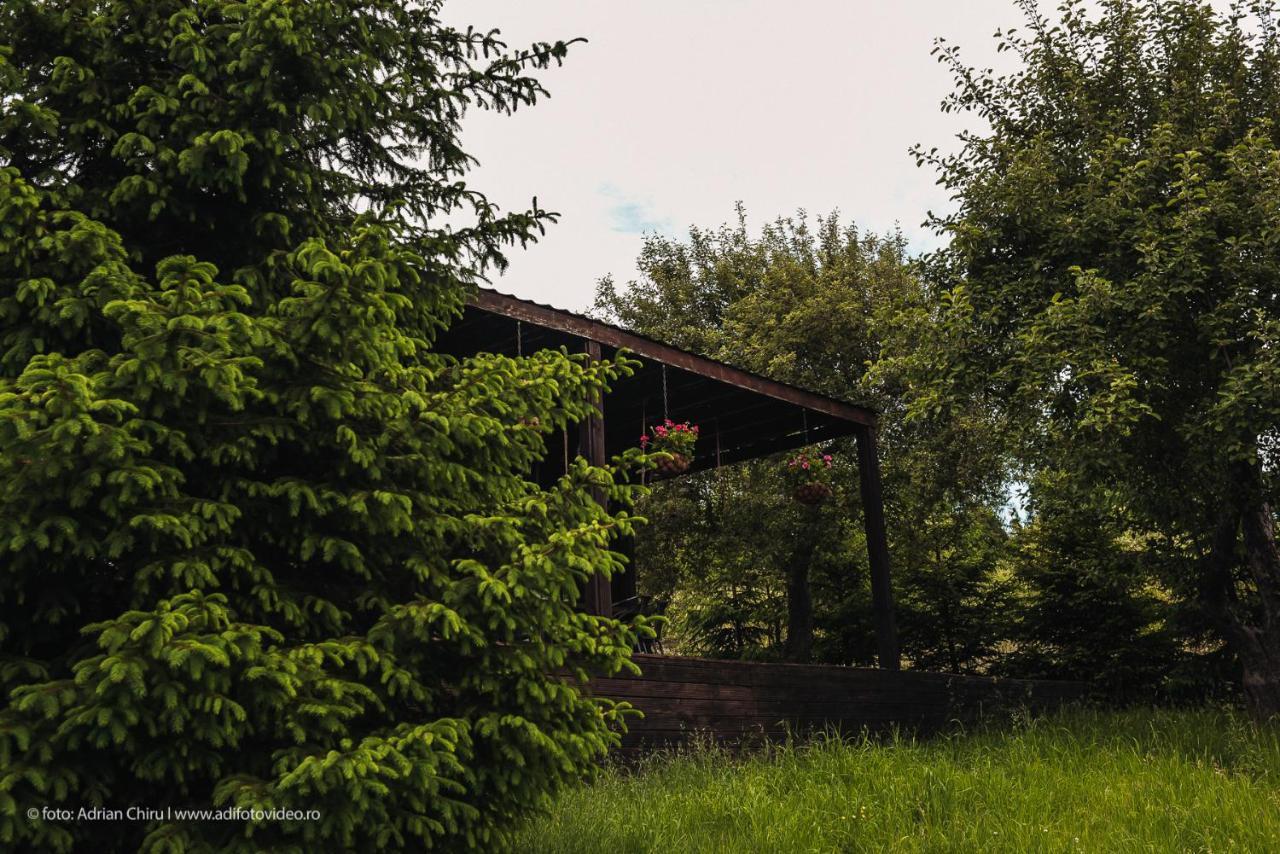 Ethereal Chalet Colnic المظهر الخارجي الصورة